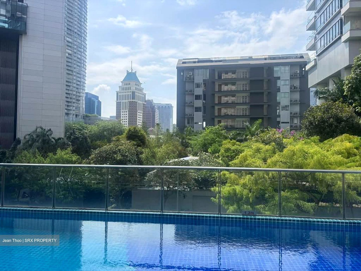 Angullia Park Residences @ Orchard (D10), Apartment #546043821